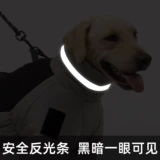 Демисезонный светоотражающий удерживающий тепло бандаж пупочный, осенний сезон, подходит для подростков