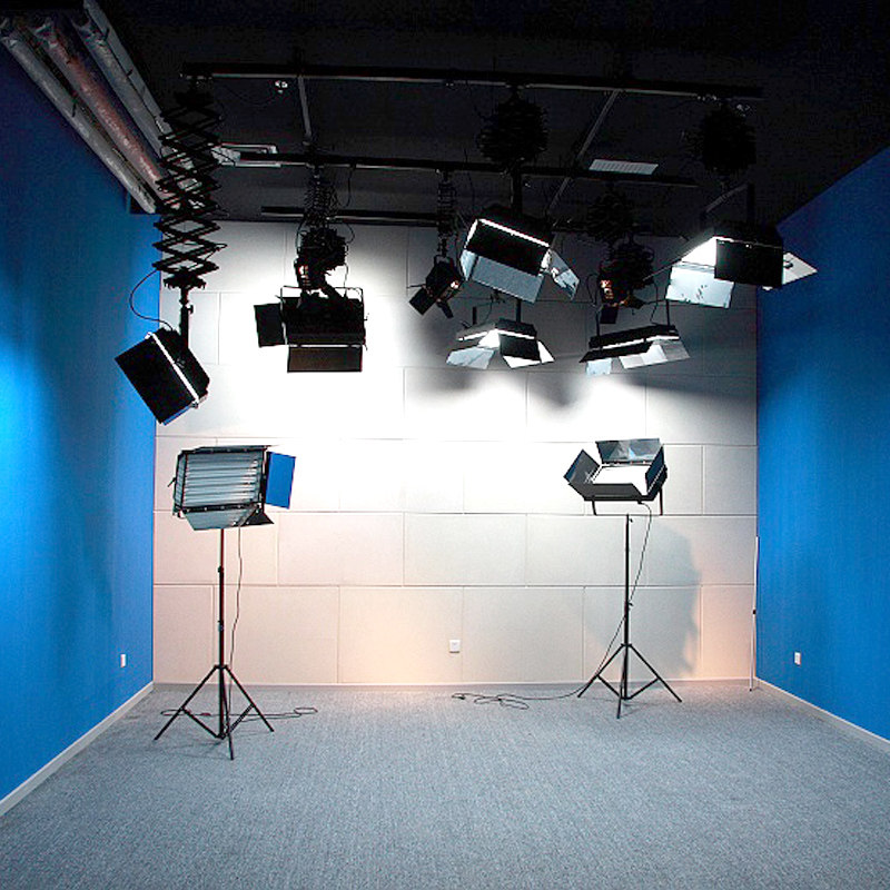 Suspended Ceiling Style Studio Lights for Smallpox Tracks Virtual Studio SCRATCHING Like a studio Studio Photography Shed