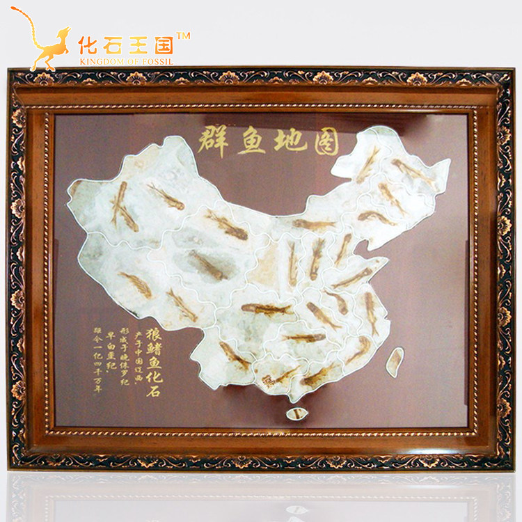 Liao Xi Wolf Fin Fish Group Fish Fossil Specimens Original Stone Plot Mounting and Framed Gift collection Framed Gift New