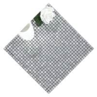 1.0 Серебряный латт монохром