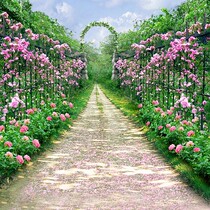 New Anchor Background Cloth 3D Straight Podcast Wall Paper Photo Minimalist Solid Men And Women Flowers Sea Wall Paper Fast Hand Background Wallpaper