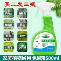 Jasmine Insecticide Special Killing of Insect Repellent Floral Insect Repellent Home Plant Insect Repellent to Kill Red Spider Spray