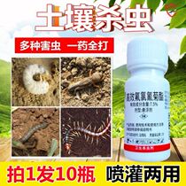 Soil Insecticide Floral Plant Killing of Pest Control Flower Pots for small flying insects Drug Green Uplant Insect Reptile Domestic Spray