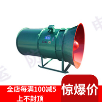 Explosion-proof mining blower explosion-proof FBCZ series mining ground explosion-proof axial ventilator