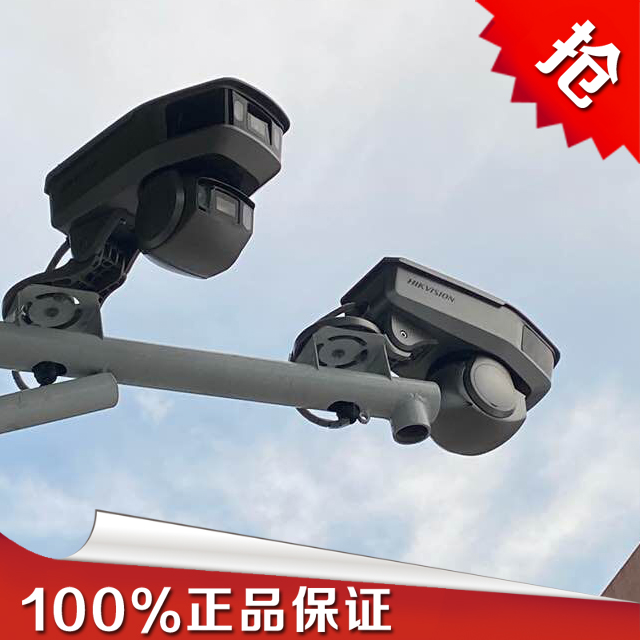 Haikang Deep Eyes Series 2 million iDS-2PT9122BX-D S F global camera white light action point camera