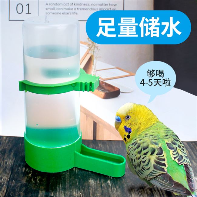 Peony Parrot Máy uống nước cho chim tự động Budgie lớn Thiết bị cho chim lớn Máy cấp nước tự động nhỏ - Chim & Chăm sóc chim Supplies