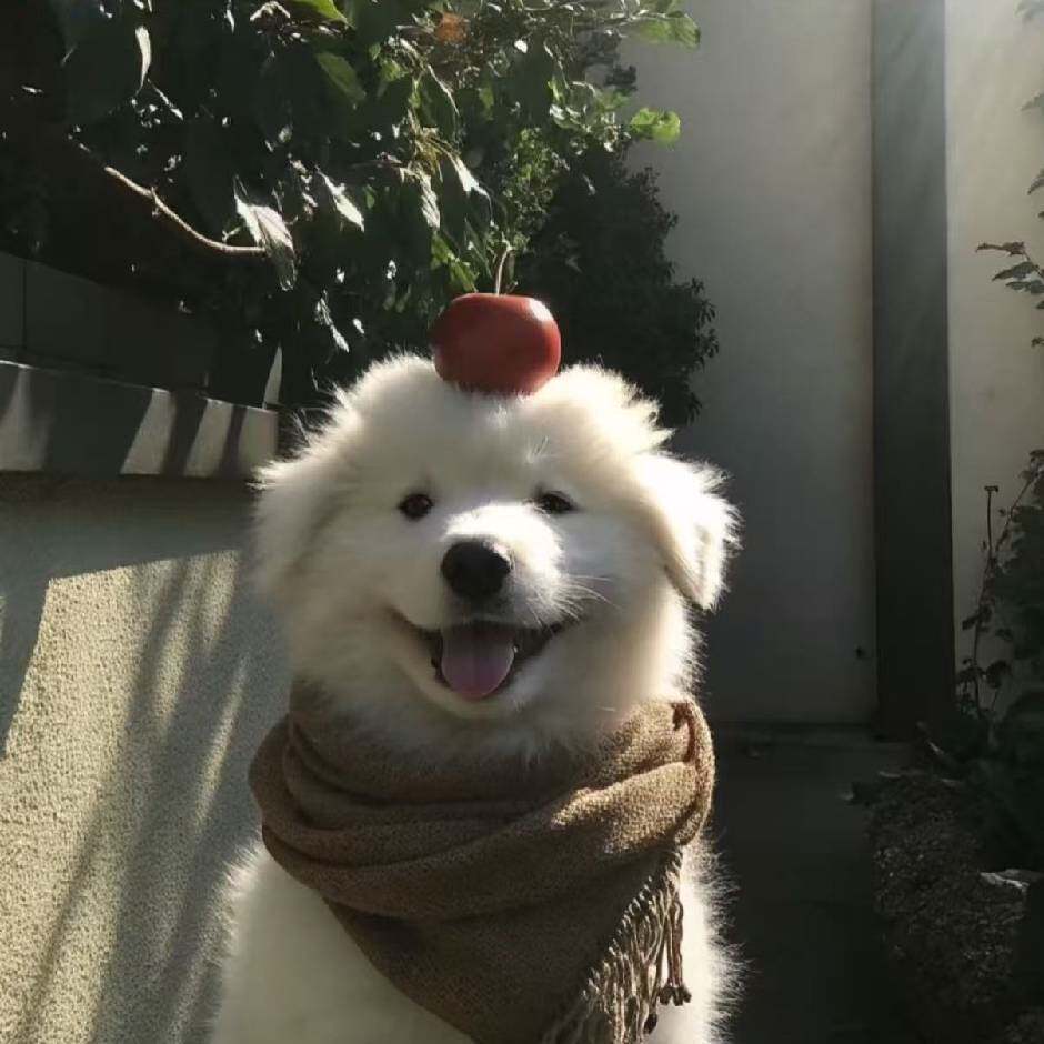 阿梦小杂货铺