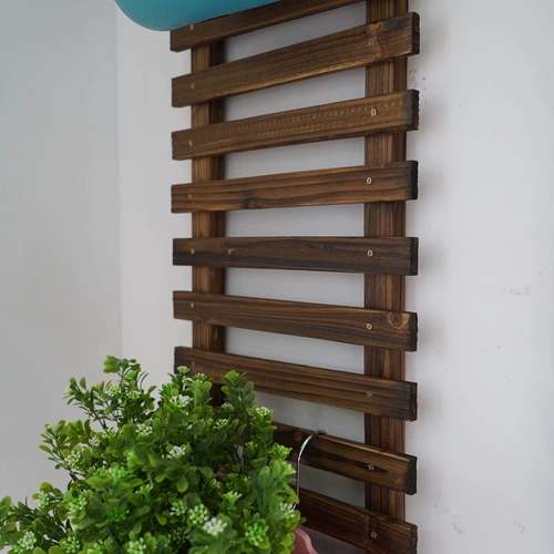 Гостиная стена стена цветочные стойки балкон подвесная стена цветочная рама растения скалолаза виноград