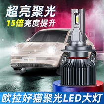 Great Wall Euler r1 black cat car special led light bulb modified far and near light integrated bright light 19-22 models
