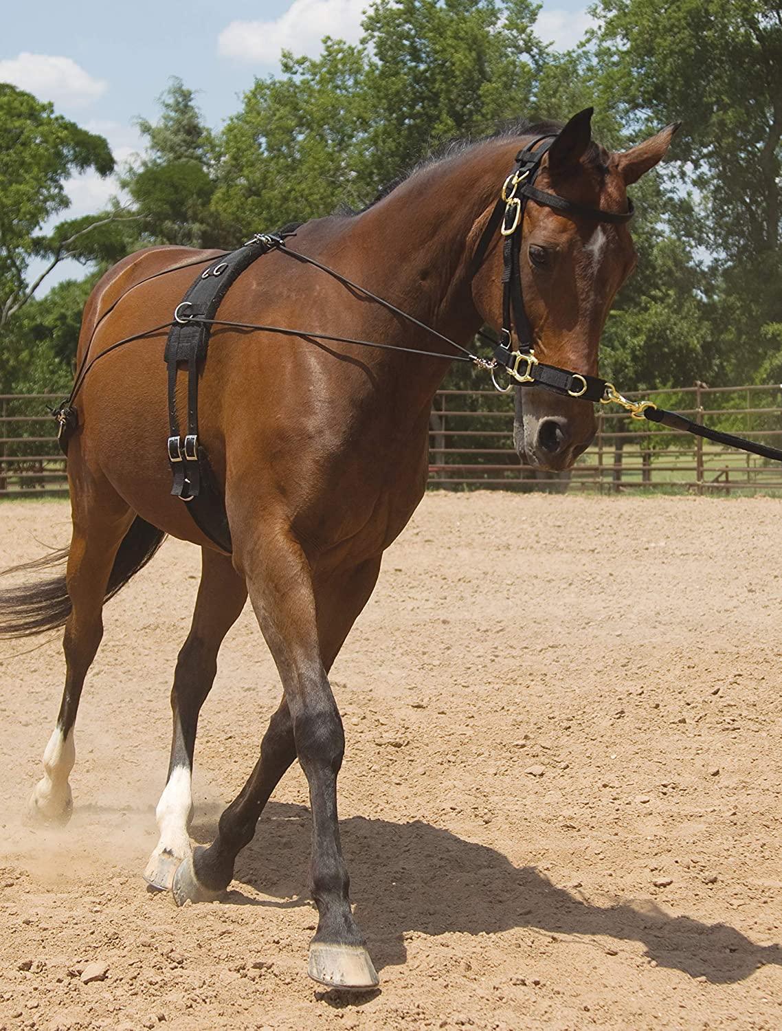 Equestrian training girdle training horse girdle horse training horse training horse equipment HORSE SURCINGLE