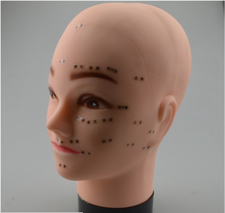 Tête mannequin - Ref 265692 Image 6