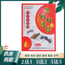 Pharmacy Ji Shende Black Ant Du Paste Cold compress Neck Shoulder Waist Legs Knees Legs Legs Pain