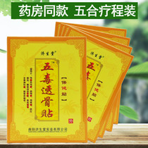 5 suit Hong Kong Jishengtang Five Poisonous Bone Sticks Health Sticks Shu Luo Xiaoxiaitong Electrostatic Therapy Sticks 6 Sticks