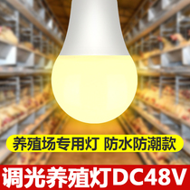 Low voltage led DC DC48V V dimmable bulb chicken farm lighting waterproof poultry breeding special lamp
