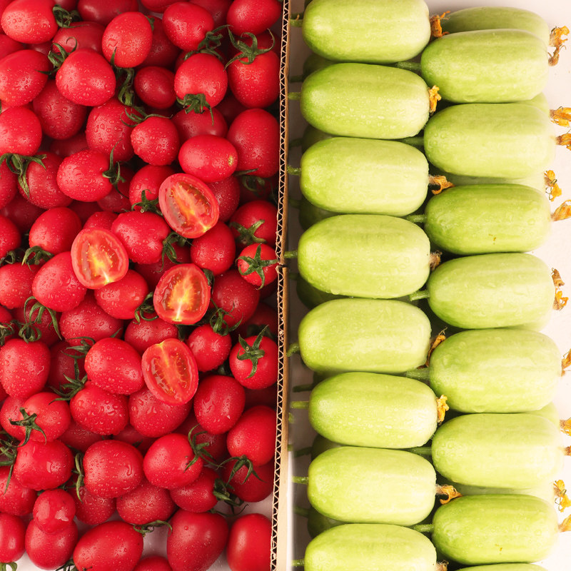 Thumb Cucumber Holy Female Fruit Fresh Fruit Cucumber 5 Catty Tomatoes Tomatoes Tomatoes Millennials Eat Natural Cooked