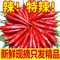 Millet pepper millet pepper Fresh 5kg Chaotian pepper colorful pepper finger pepper fresh vegetables
