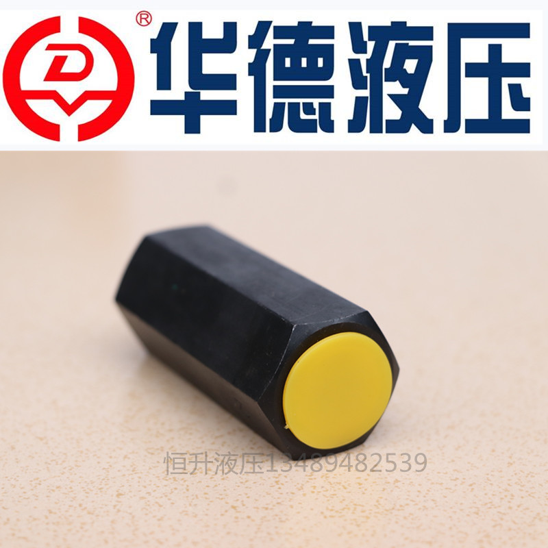 Beijing Ward Inform Stop Reverse Valve Tubular Backstop Valve S6A11B S6A11B S8A11B S10A11B S10A11B Valve