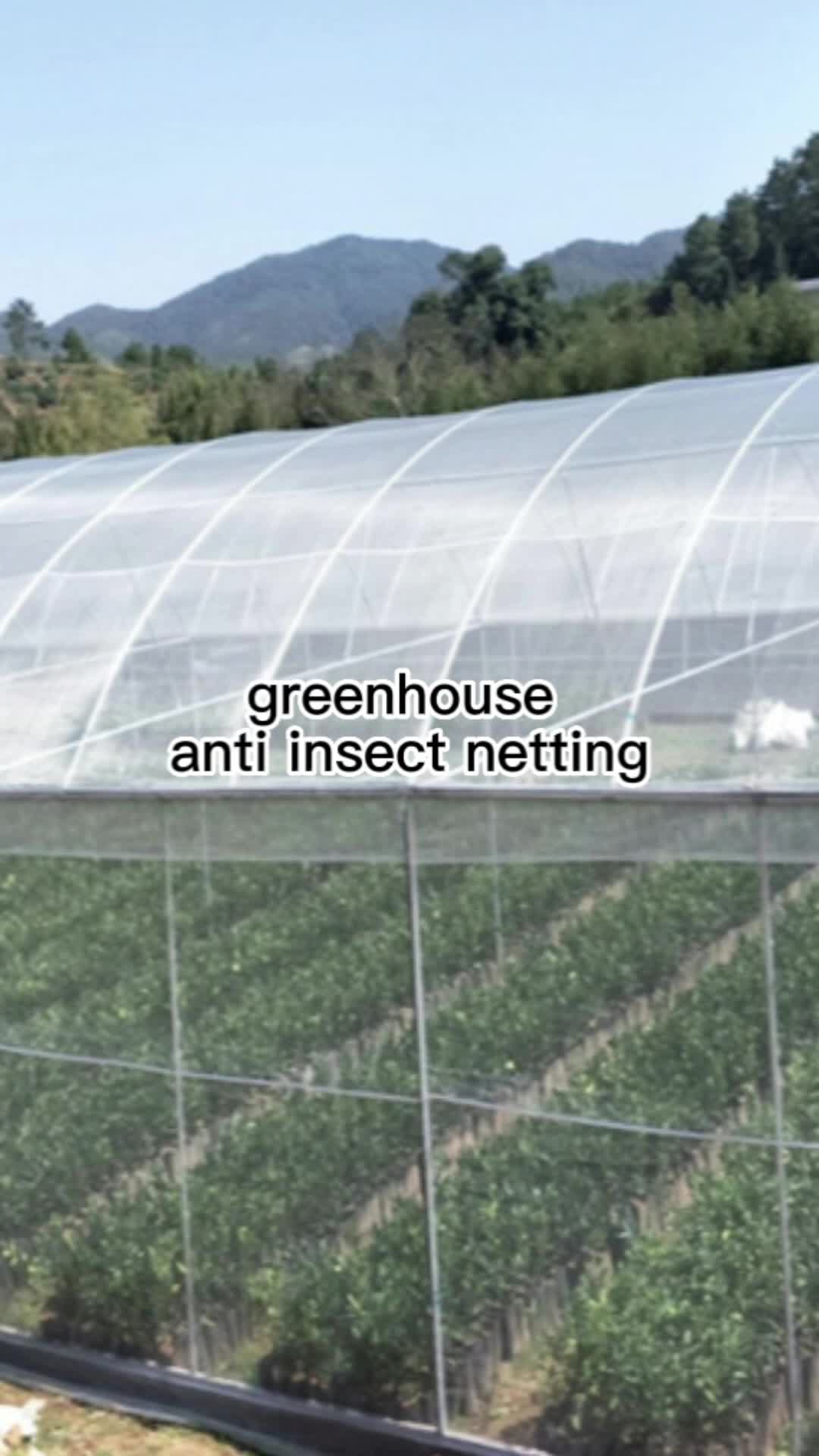 Manufacture Protect Plants Insect Netting,White Fly Insect Net Anti
