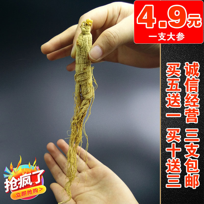 Northeast ginseng dry goods Jilin Changbai Mountain Ginseng White Ginseng and Soup Bubble Wine Tea Whole Branch