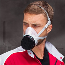 Sechuang FDG Gas Mask mask anti-smoke welder chemical gas pesticide spray paint labor protection Special