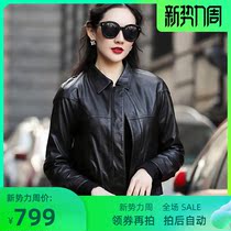 Haining new spring and autumn leather womens sheep leather motorcycle short leather jacket Korean tide coat