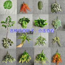 Wedding simulation flowers and plants olive branches willow leaves Quay leaves eucalyptus leaves flowers and plants