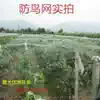 Bird-proof net Skynet strawberry net Fence net Fruit garden bird-blocking nylon grape net Greenhouse breeding net Rice field protection
