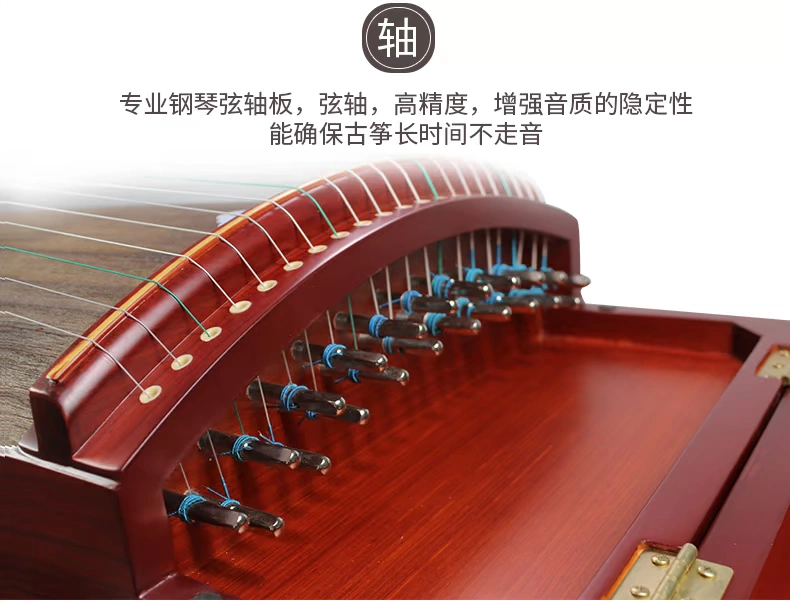 Nhạc cụ Xinghai Guzheng Qin người mới bắt đầu thi tuyển không phải gỗ cát tan chuyên nghiệp 812C Hele Daya - Nhạc cụ dân tộc