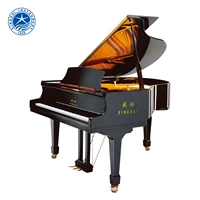 Cửa hàng Flagship Piano Xinghai Chuyên nghiệp Lớp Grand Piano Đặc biệt XG-143 Đàn piano gỗ đen mới - dương cầm đàn piano yamaha