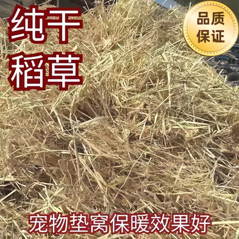 Straw Insulation for Winter, Dry and Warm Bedding, Fiber Straw Feed for Guinea Pigs, Rabbits, Cattle, Sheep, Pigs, and as a Nesting Site