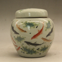 Qing Tongzhi pastel fish and algae pattern small lid jar antique porcelain antique antique porcelain ornaments collection