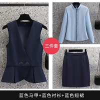 3 штуки (синий жилет 3001+ Long -Sleeed Blue Rilber 2105+ Blue Skirt)