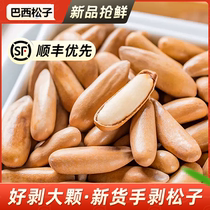 Brazilian pine nuts 2024 special new goods hand-peeled pine nuts flagship store official Afghan non-grade large nut snacks