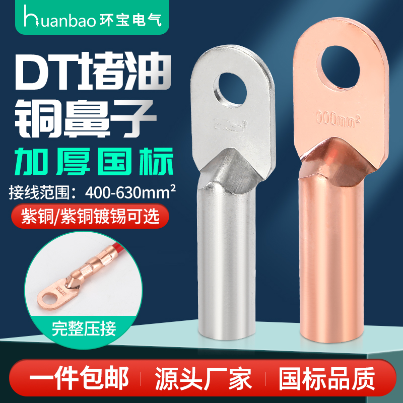 National Label A level DT-300 400500630 squared copper nose cable joint copper wire ear wire nose-Taobao