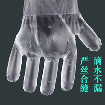 Thickened Food Catering Plastic Disposable Gloves Home Transparent Durable Boxed Hygienic Food Grade 100 Only Clothing
