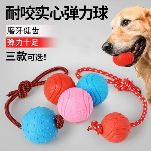 Dog Toy Pet Dog Rubber Ball Molaring Yeew