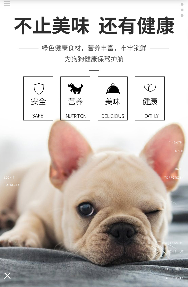 Thức ăn cho chó loại chung 10 kg tải Teddy Lông vàng Bomei VIP 40 chó nhỏ chó trưởng thành 20 chó con chó lớn 5kg - Chó Staples hạt smartheart