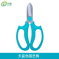 Лазурные ножницы