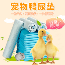 Duckling pet diapers Cole duck urine pad feces shit urine pad Rabbit special pet chicken and goose supplies