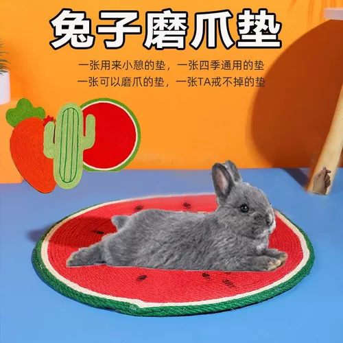 Кролик, игрушка для ногтей, домашний питомец, избавление от скуки