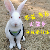 Rabbit traction rope slip rabbit adjustable anti-break free bite rabbit special vest-style clothing traction rope dwarf rabbit