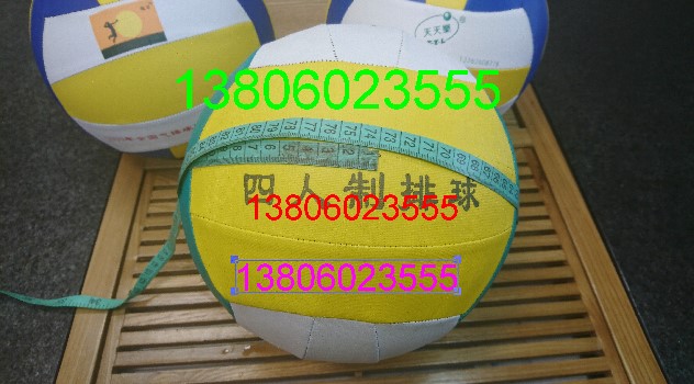 Ballon de volley-ball - Ref 2008000 Image 10