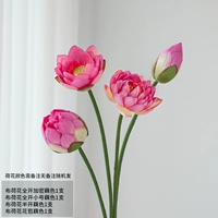 Ткани лотос набор c