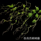 Имитационное дерево Ратан Каттан Ратан Ратан Фалан Фона Цветочный украшение ветвей и ветвей мха.