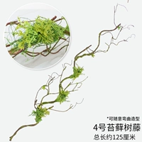 № 4 моделирование моховой виноградной лозы