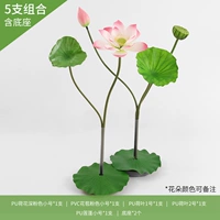 5 Lotus 5 комплектов