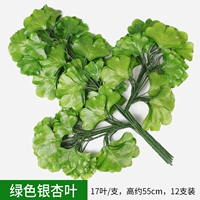 12 листьев зеленого гинкго