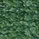 1*1 метр зеленый лист лист темно -зеленый (зашифрованная модель, отправить с бабочками)