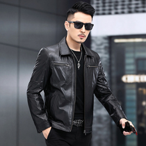Haining leather men's short first layer tire cowhide lapel business middle-aged motorcycle leather jacket spring and autumn coat