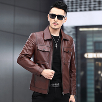 First layer calf leather motorcycle clothing leather men's short Haining lapel jacket zipper pocket spring and autumn coat